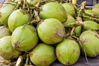 Fresh tender coconuts